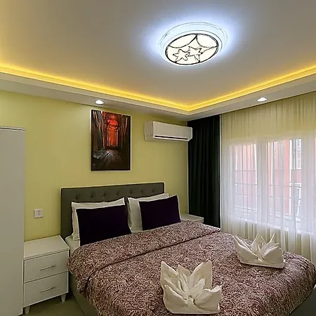 Ozer & 4*